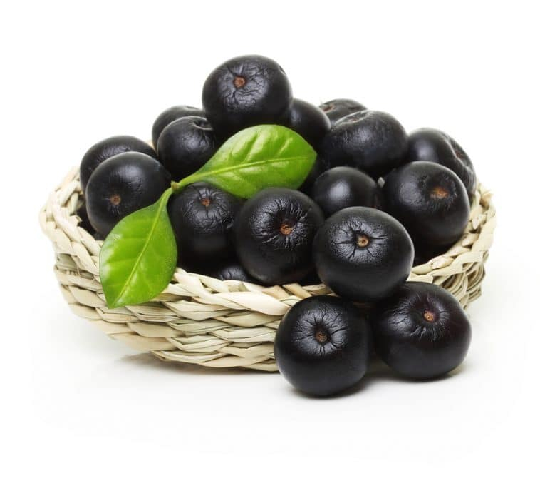 Hạt cọ Acai