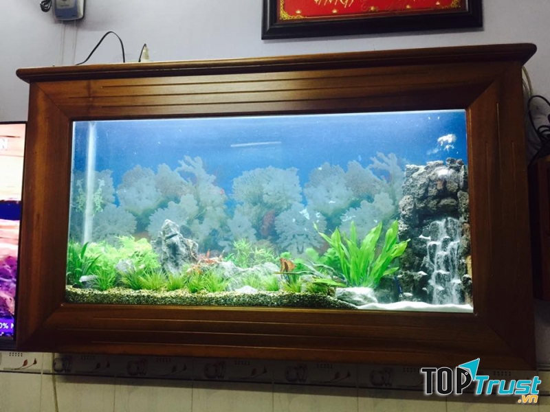 Hồ Thủy Sinh Cát Tường