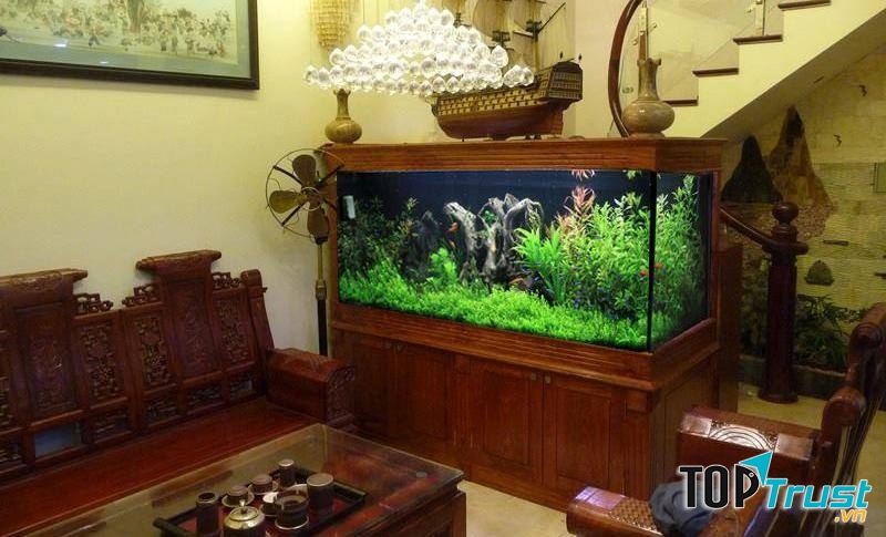 Hồ Thủy Sinh Cát Tường