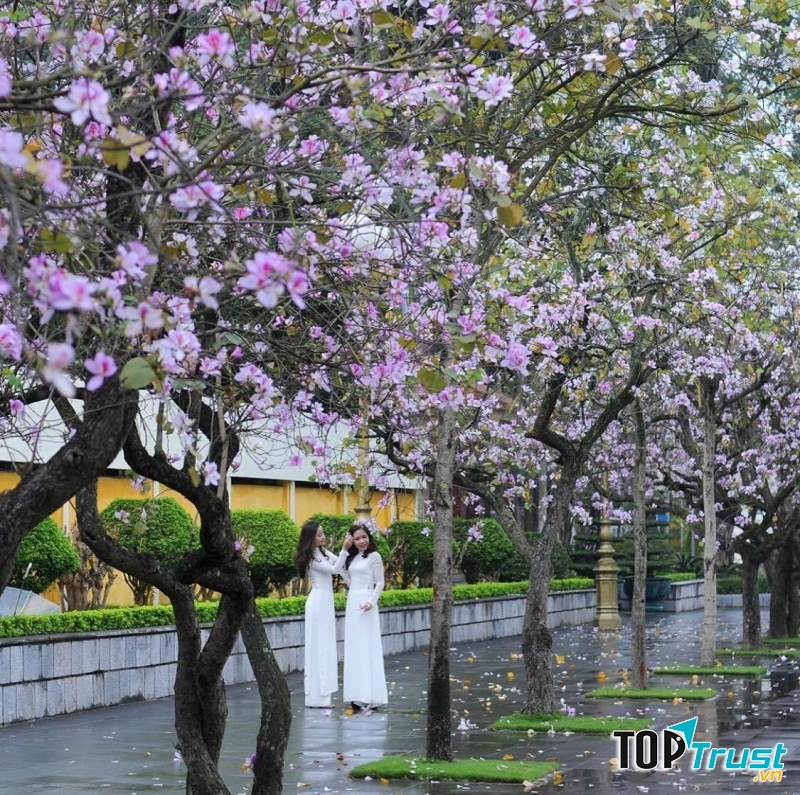 Ảnh minh họa (Nguồn internet)