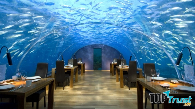 Dùng bữa ngay dưới lòng đại dương tại Ithaa Undersea