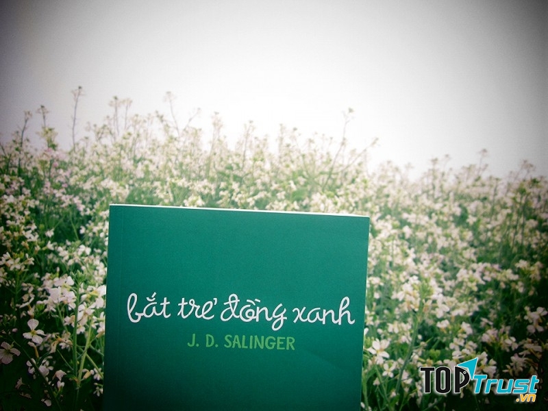 Bắt trẻ đồng xanh do Nhã Nam phát hành