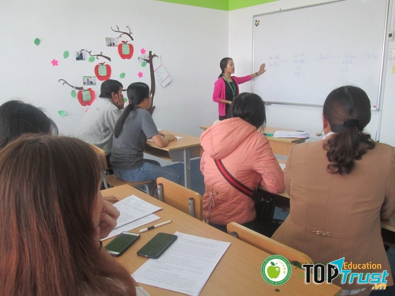 Jellyfish Education Huế