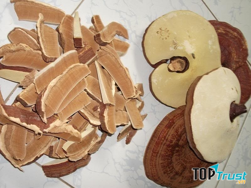 Nấm linh chi tại KGIN