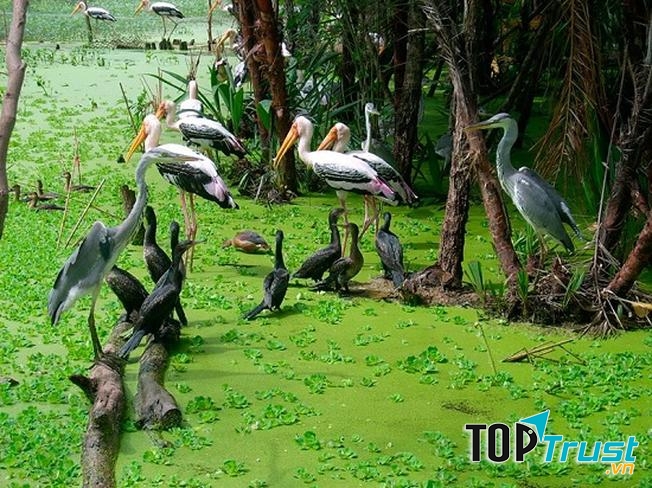 Khu du lịch sinh thái Gáo Giồng