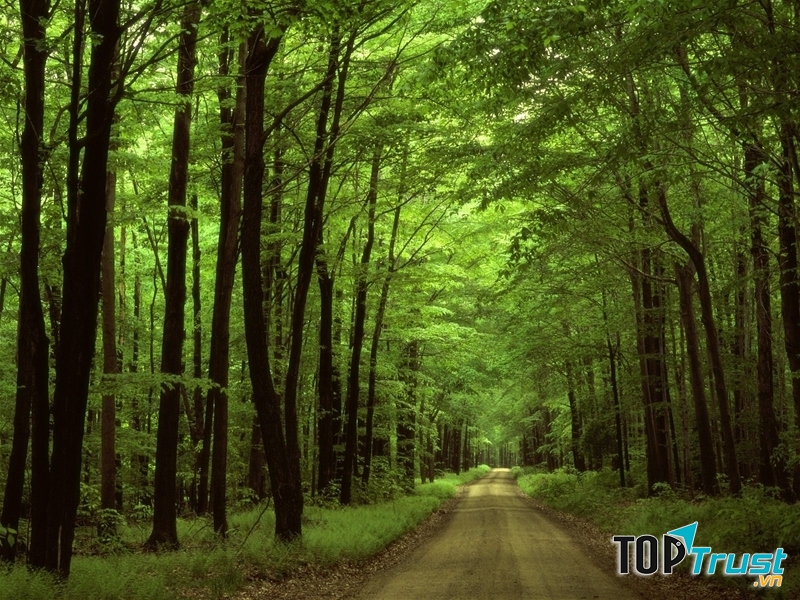 Khu du lịch sinh thái rừng Nam Cát Tiên