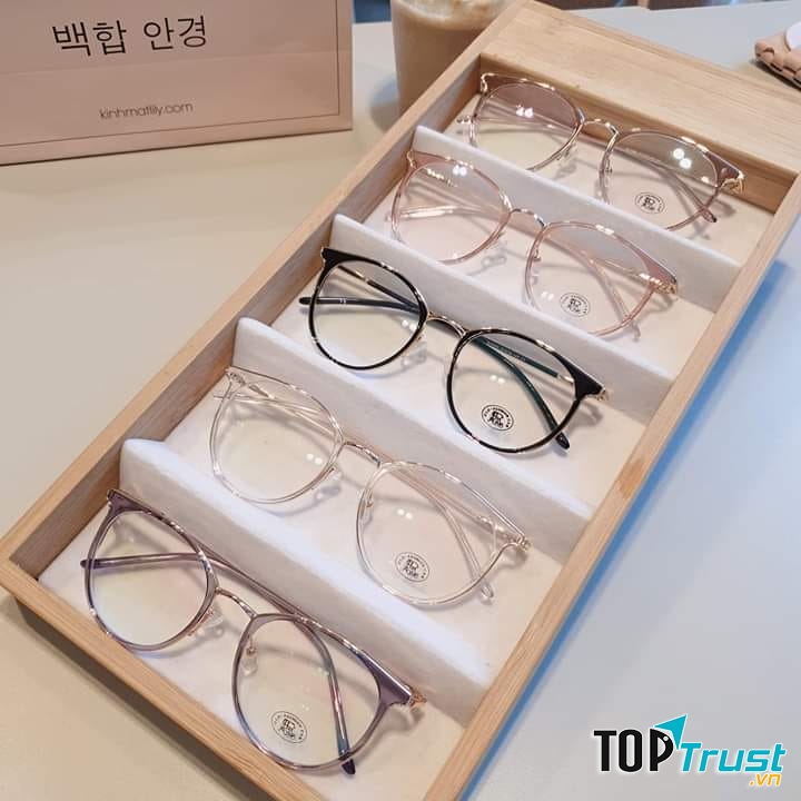 Kính mắt Ngọc Hà có mẫu mã rất đa dạng từ kính nam đến kính nữ, các mẫu từ truyền thống đến trẻ trung hiện đại, các loại kính cận, kính râm, kính cận râm…