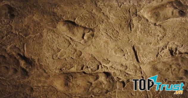 Laetoli Footprints