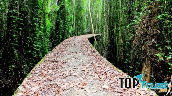 Con đường vào làng nổi Tân Lập