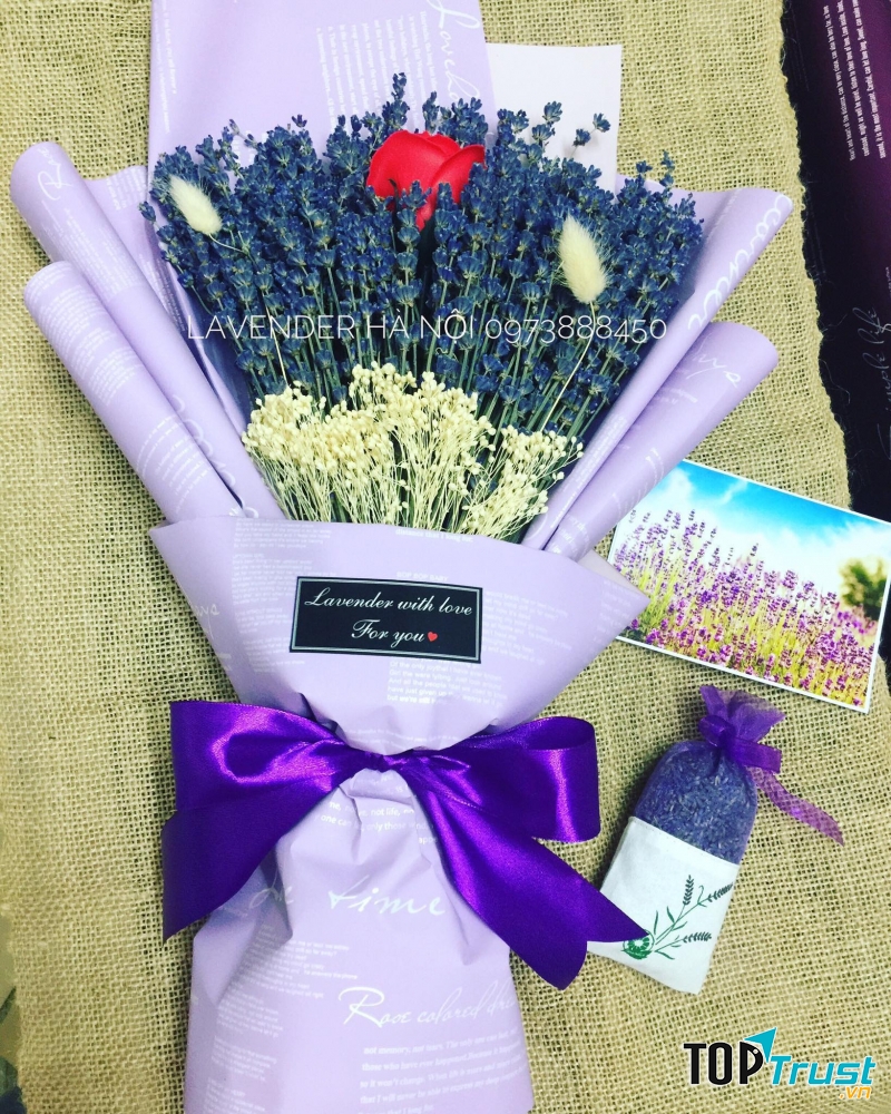 Lavender Hà Nội