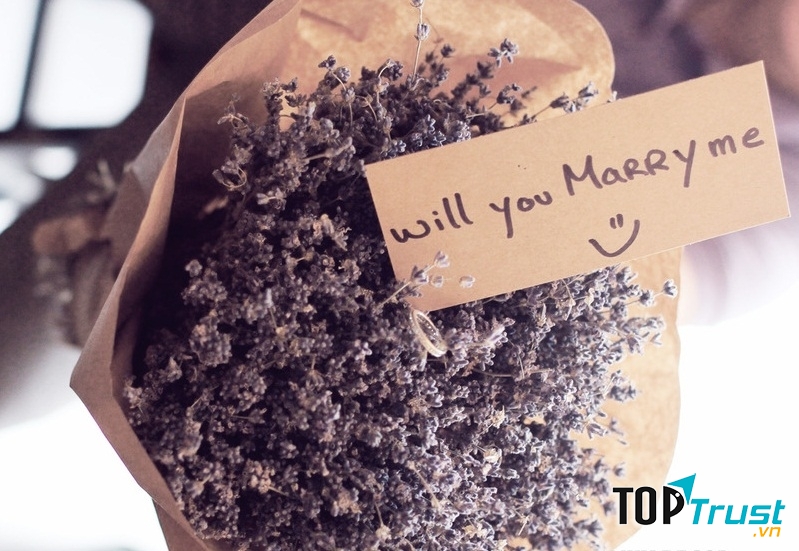 Ý nghĩa hoa Lavender