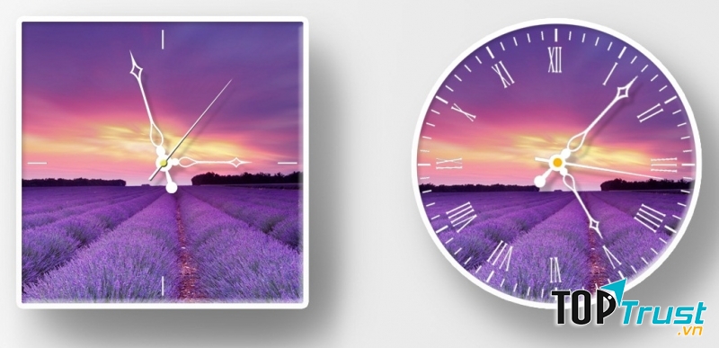 Lavender đẹp bền bỉ qua thời gian