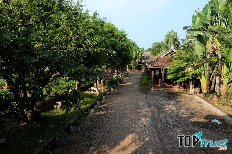 Những nếp nhà sàn, nhà Dao, nhà ngói, cây cối có tuổi đời trăm năm vẫn toả bóng dài