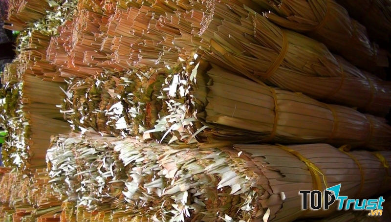 Lá huế - nguyên liệu không thể thiếu của nón lá miền Tây. Ảnh: Thế Anh