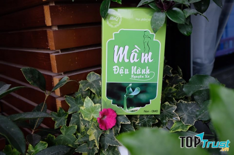 Sản phẩm mầm đậu nành nguyên xơ MinQ được chiết xuất hoàn toàn từ thiên nhiên.