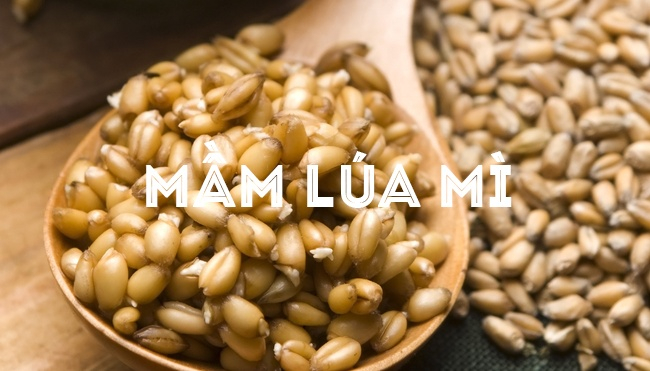Mầm lúa mì