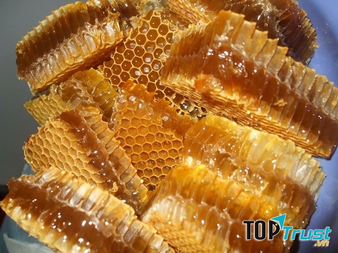 Mật ong Đà Lạt