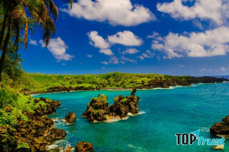 Maui là một trong những hòn đảo có sự đa dạng sinh thái nhất thuộc quần đảo Hawaii