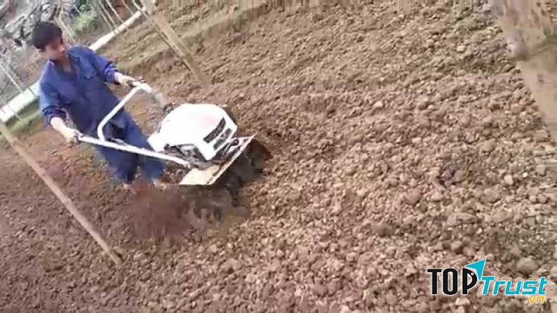 Máy cày Trâu Vàng công cụ làm việc hiệu quả