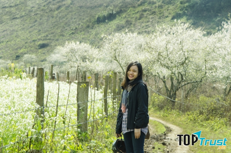 Một thoáng Mộc Châu thơ mộng.