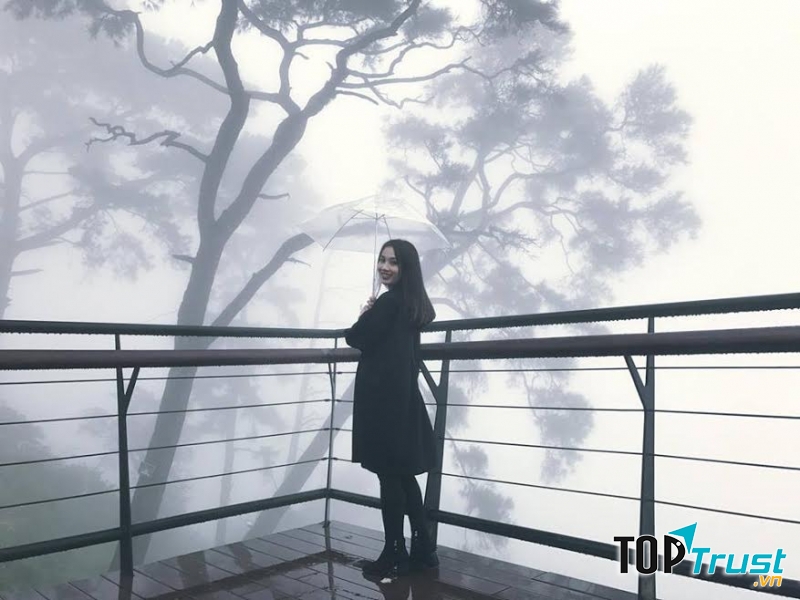 Dù đi Tam Đảo vào mùa hè bạn cũng nên mang theo áo khoác