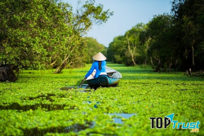 Rừng tràm Trà Sư đẹp quyến rũ