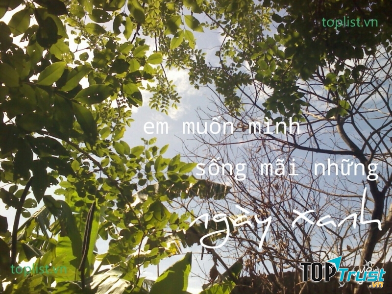 Năm ấy gặp được anh (Juliacy)