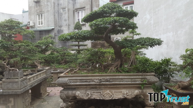 Ngọc Nam Landscape