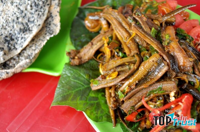 Lươn đồng xứ Nghệ