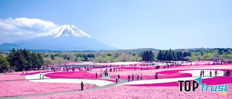 Nhật Bản là thị trường xuất khẩu lao động thứ 2 của Việt Nam