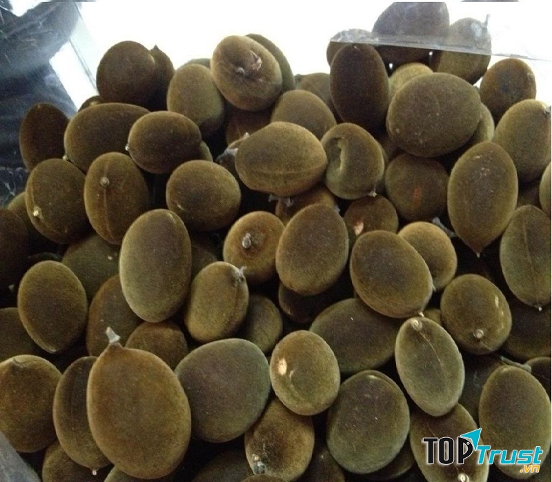 Trái Xay nhung rừng