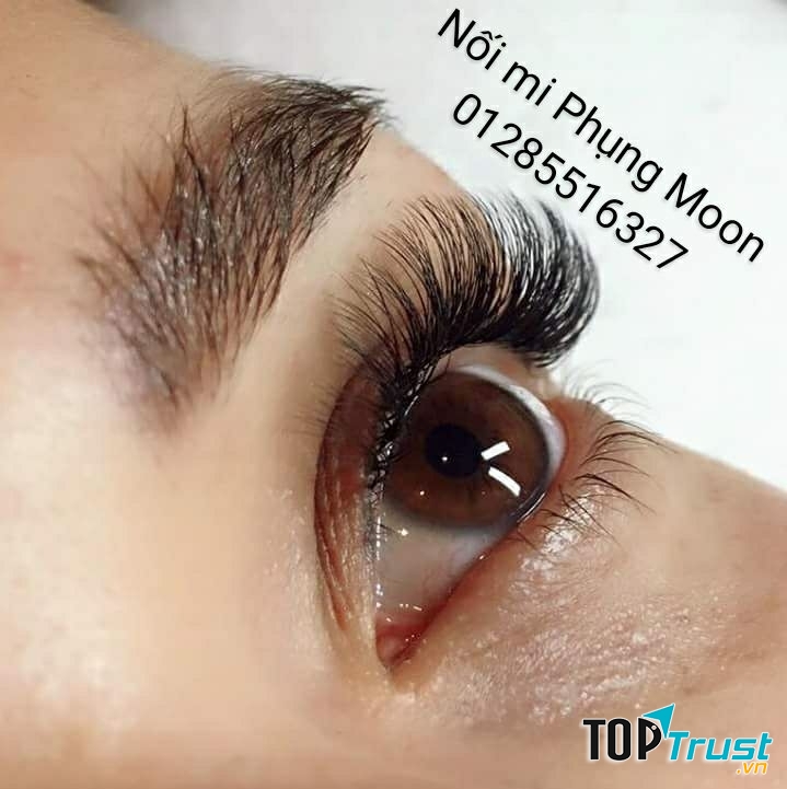 Nối mi Phụng Moon