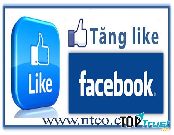 ntco.co là địa chỉ vô cùng uy tín cung cấp dịch vụ tăng sub, tăng like Facebook