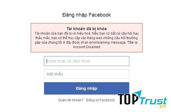 Ntco.co cung cấp dịch vụ Facebook một cách nhanh chóng và hiệu quả