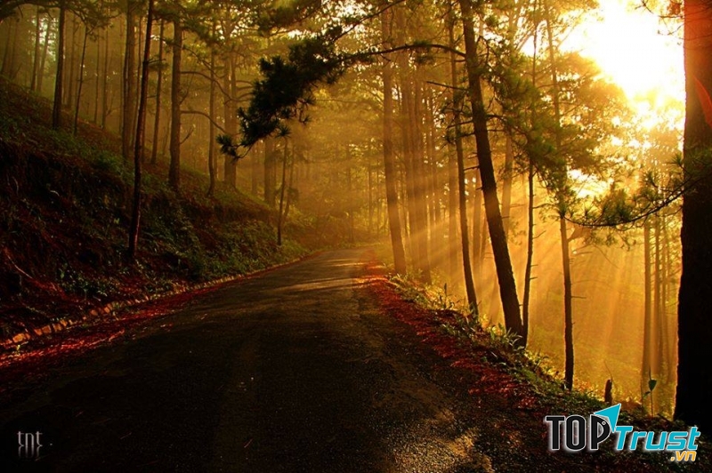 Đây là trái tim của thành phố sương mù Đà Lạt.