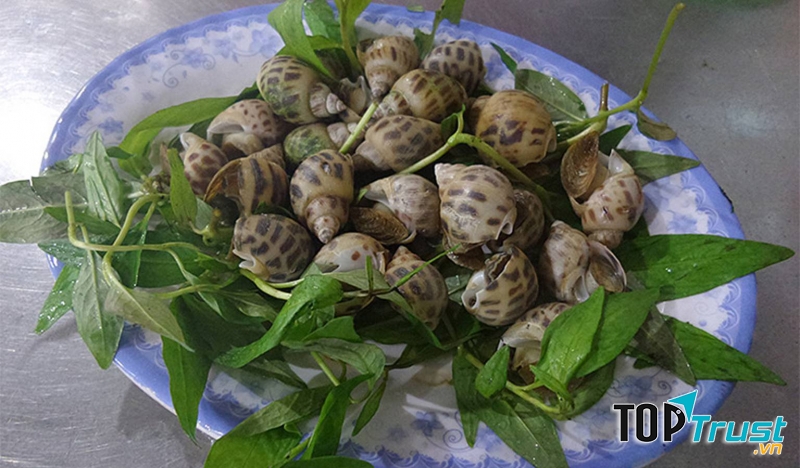 Quán ốc Béo mang đến khá nhiều lựa chọn có cả ốc nhỏ lẫn ốc to, với các phương pháp chế biến như: ốc luộc, ốc xào, rang me,...