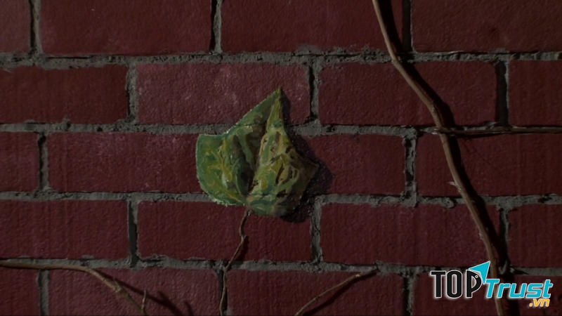 Tác phẩm Chiếc lá cuối cùng