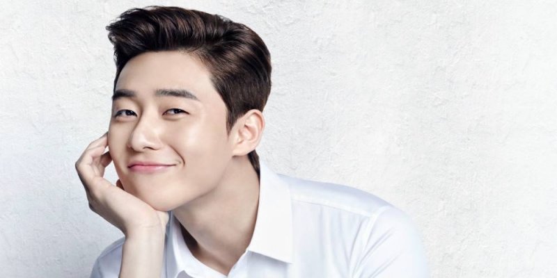 Park Seo Joon là anh chàng diễn viên quen mặt đối với những tín đồ phim Hàn.