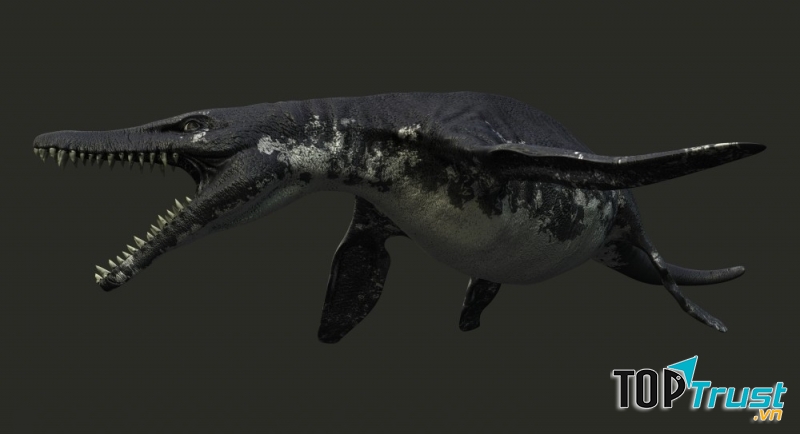 Predator X – Pliosaurus