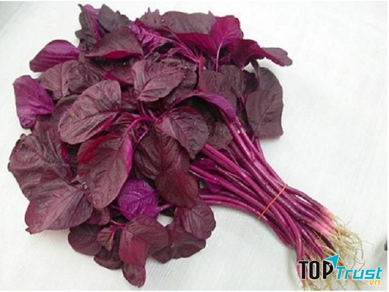 Rau dền đỏ trị rụng tóc