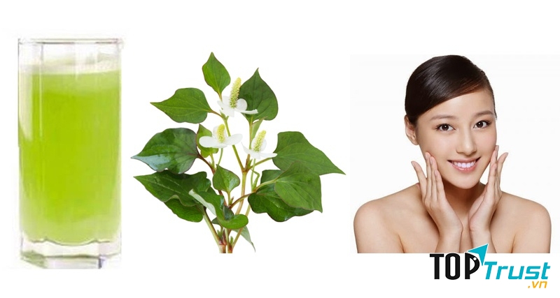 Rau diếp cá trị mụn hiệu quả