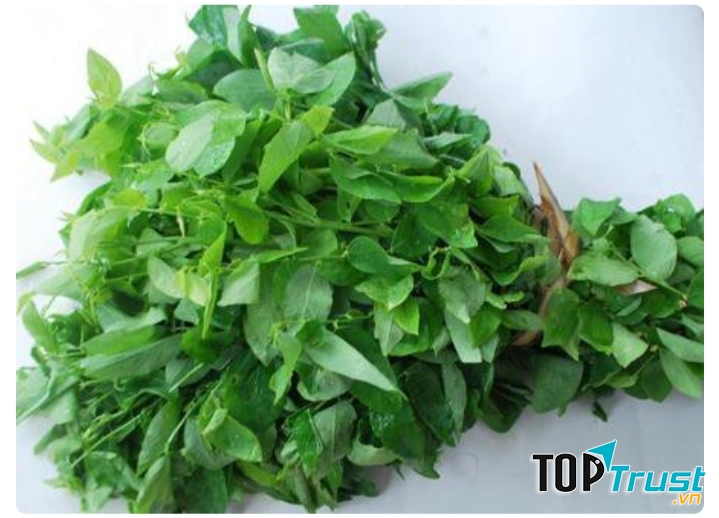 Rau ngót bổ sung chất sắt cho cơ thể