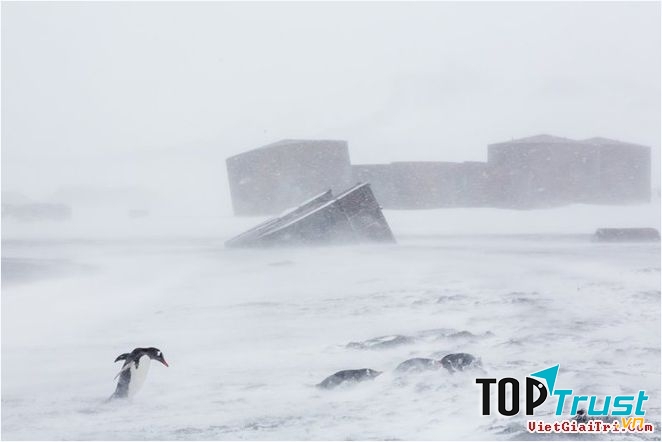 Gió mạnh ở Patagonia.