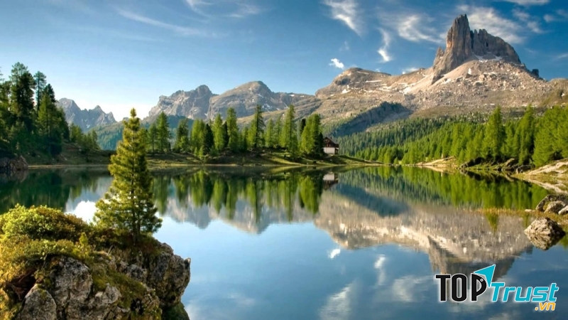 Bản nhạc đem đến cảm giác tinh khiết đến lạ lùng