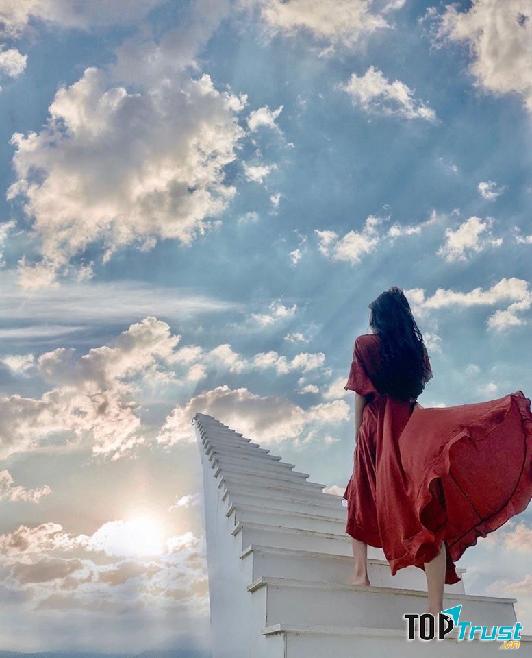 Sunny Farm có chiếc cầu thang lên thiên đường, lưới giăng khiến nhiều bạn trẻ mê tít, lên ảnh vô cùng đẹp.