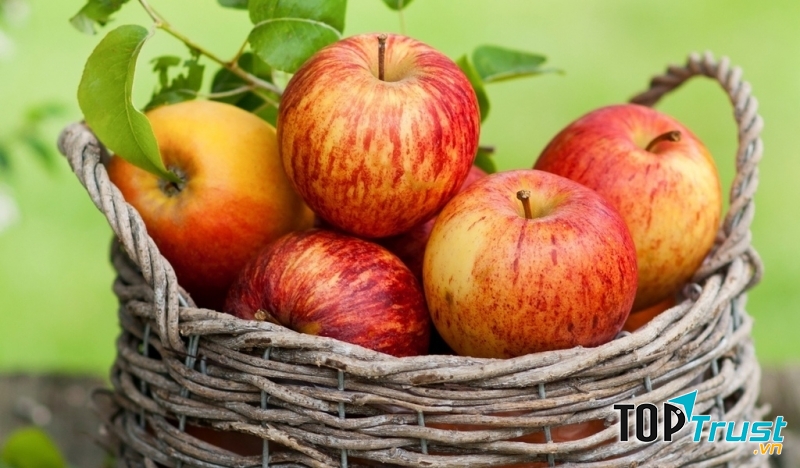 Trong thực đơn tráng miệng mỗi ngày nên cho táo vào nếu bạn hiện đang mắc chứng bệnh khó ngủ.