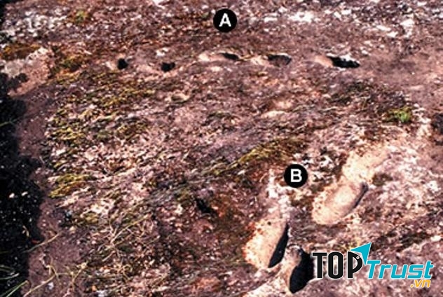 The Devil’s Trails