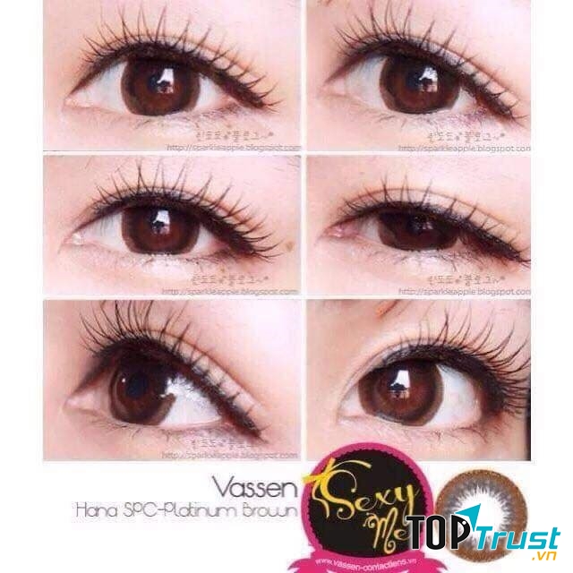 Một mẫu lens của Thế Giới Lens