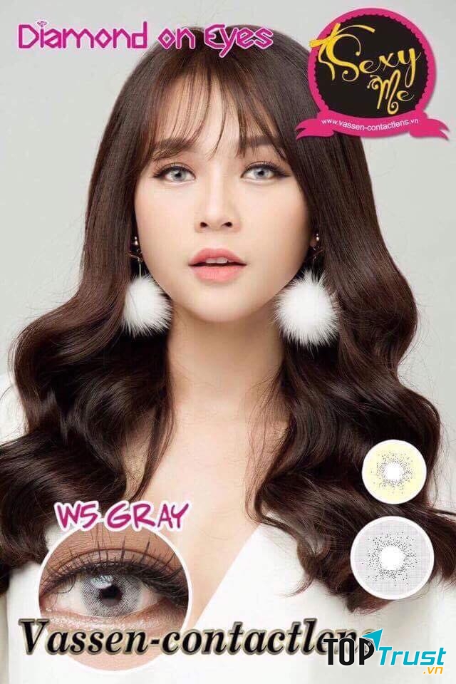 Một mẫu lens của Thế Giới Lens