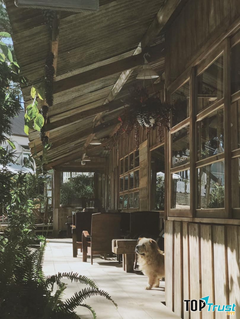 Tiệm cà phê Túi Mơ To